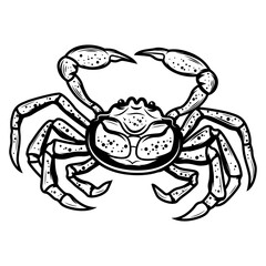 sea crab silhouette isolated on white background