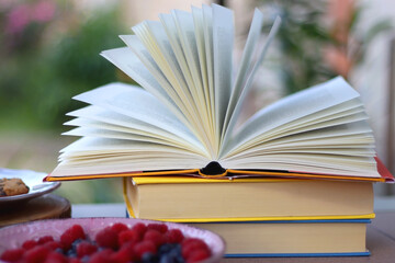 Straw hat, orange soda in the cactus shaped cup, bowl of fresh blueberreis and raspberries, plate of chocolate chip cookies, stack of books and sunglasses in the garden. Selective focus.