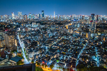 恵比寿の高層ビルから見た東京の夜景