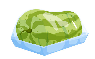 Watermelon in plastic tray vector illustration. Cartoon isolated styrofoam fruit box with clear transparent cellophane wrap, fresh healthy food product pack for storage, supermarket bucket container