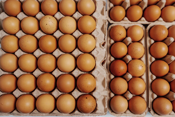 Farm fresh chicken eggs on paper egg box from organic farm., no people, nobody.