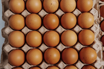 Farm fresh chicken eggs on paper egg box from organic farm., no people, nobody.