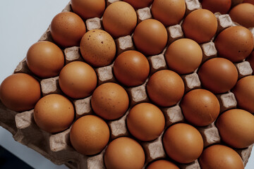 Farm fresh chicken eggs on paper egg box from organic farm., no people, nobody.