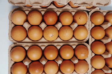 Farm fresh chicken eggs on paper egg box from organic farm., no people, nobody.