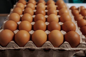 Farm fresh chicken eggs on paper egg box from organic farm., no people, nobody.