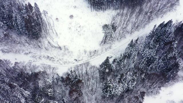 Drone Aerial view of Driving car with snow tires on local road in the mountain in snowy day. Pine tree forest mountain road covered in snow. Beautiful scenic nature and transportation in winter season
