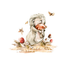 Watercolor nursery set. Hand painted autumn composition of hedgehog character, mushroom, forest leaves, fall leaf, isolated on white background. Baby illustration for card design, print, poster