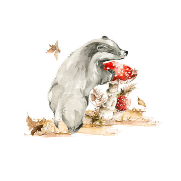 Watercolor nursery set. Hand painted autumn composition of cute badger character, mushroom, forest leaves, fall leaf, isolated on white background. Baby illustration for card design, print, poster