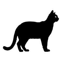 Black cat silhouette, Cute cartoon black cat