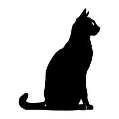 Black cat silhouette, Cute cartoon black cat