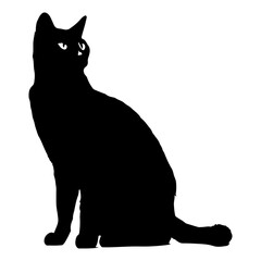Black cat silhouette, Cute cartoon black cat