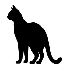 Black cat silhouette, Cute cartoon black cat