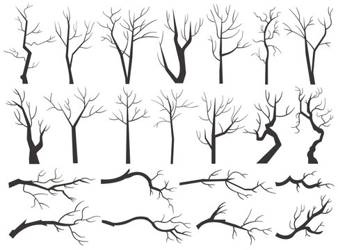 Tree trunk, naked plants with black leafless branch silhouettes isolated set on white background