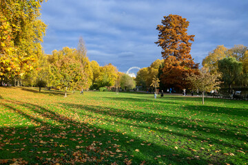 View of London's St. James's Park in Autumn