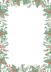Spruce branches, pine, holly, flowers, leaves, berries. Watercolor Christmas rectangular frame
