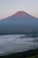 朝陽を浴びて赤く染まる富士山と雲海