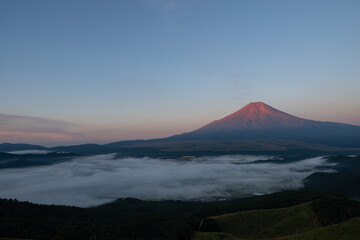 朝陽を浴びて赤く染まる富士山と雲海