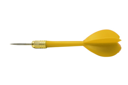 dart isolated