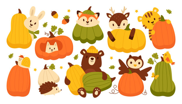 Animal character holding ripe pumpkin autumn thanksgiving holiday vegetable set vector illustration