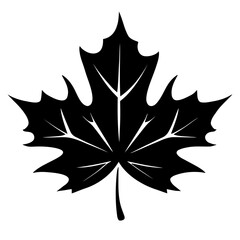 Maple autumn leaf silhouette. vector illustration