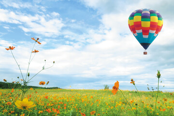 Selective focus at side of outdoor yellow flower park with hot balloon flying