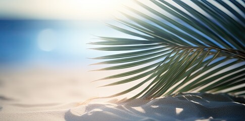 Fototapeta na wymiar palm leaf on white sand beach psd file, in the style of realistic, poste. Generative AI
