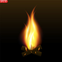 Fire flames isolated on transparent background. Vector realistic special effect 