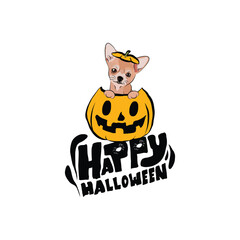 Happy Halloween postcard with Chihuahua dog peeking out from the pumpkin. Dog head in pumpkin with paws. October hand-drawn calligraphy with halloween funny icons. Festive Creative Halloween Art Work.