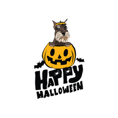 Happy Halloween postcard with Miniature Schnauzer dog peeking out from the pumpkin. Dog head in pumpkin. October hand-drawn calligraphy with halloween funny icons. Festive Creative Halloween Art Work 