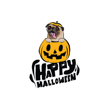 Happy Halloween postcard with Pug dog peeking out from the pumpkin. Mops Dog head in pumpkin. October hand-drawn calligraphy with halloween funny icons. Festive Creative Halloween Art Work. 