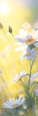 Spring meadow Cammomile flowers watercolor. AI generated illustration
