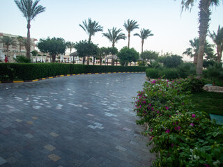 Fototapeta premium Beautiful view of the Egyptian hotel with palm trees, flowers and a swimming pool