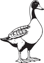 Goose full length, Farm animal, Vector Illustration, SVG