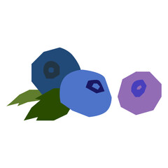 Blueberry flat illustration