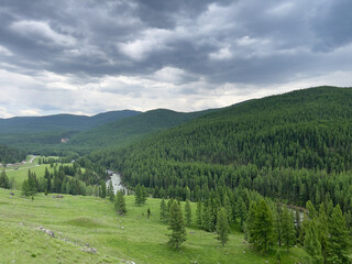 Mountain landscape with forest and river in the Altai Republic, Russia