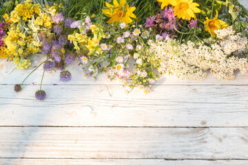floral layout from different wildflowers on a white wooden background. Beautiful light reflections. Top view