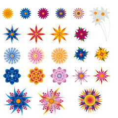 Flowers Colors Gradient