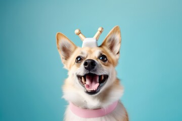 Close-up portrait photography of a smiling norwegian lundehund tail wagging wearing a unicorn horn against a pastel blue background. With generative AI technology