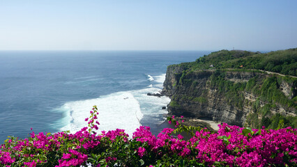 flowers and sea at bali indonesia