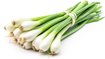 Fresh Green Onions on a White Background