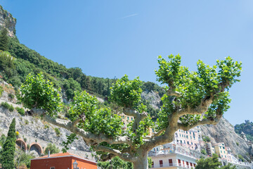 Amalfi's Architectural Gems: A Visual Feast of Coastal Beauty, Italy