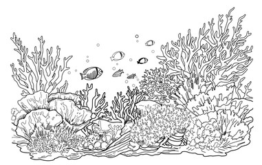 Underwater world coloring page. Coloring page life in the ocean with algae © Анна Таранкова