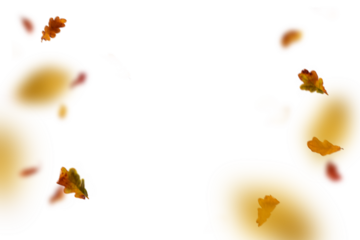 Autumn leaf border. Wave of falling leaves. Leaf fall flying png.  Autumn  leaves. Leaves in the wind. golden orange brown colour of maple tree leaves in autumn