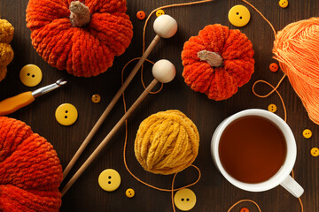 Cold season cozy hobby, concept of hobby - knitting