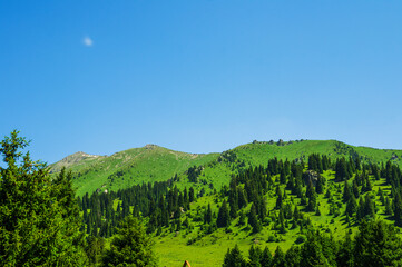 Beautiful mountain landscape in summer - 643997205