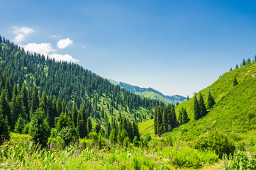 Beautiful mountain landscape in summer - 643997227