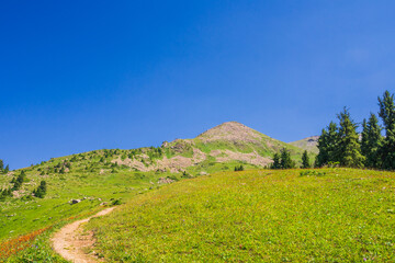 landscape in summer with a trail - 643997274