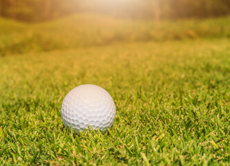 Golf ball on the green in the golf course