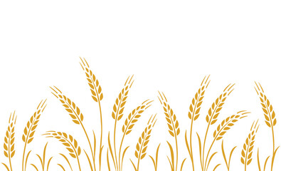seamless background with wheat, oat, rye stalks - 643999064