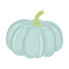 Jarrahdale pumpkin whole vegetable isolated on white background. Cucurbita maxima. Winter Squash. Australian heirloom pumpkin icon. Vector illustration of vegetables in flat style.